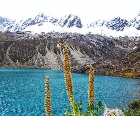 TOUR LAGUNA ROCOTUYOC